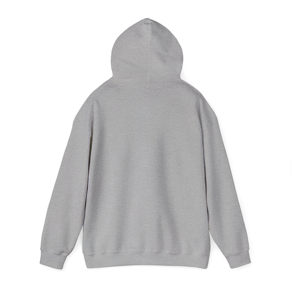 Havana Baila Graphic Hoodie — Retro Tropical Dance Party Sweatshirt