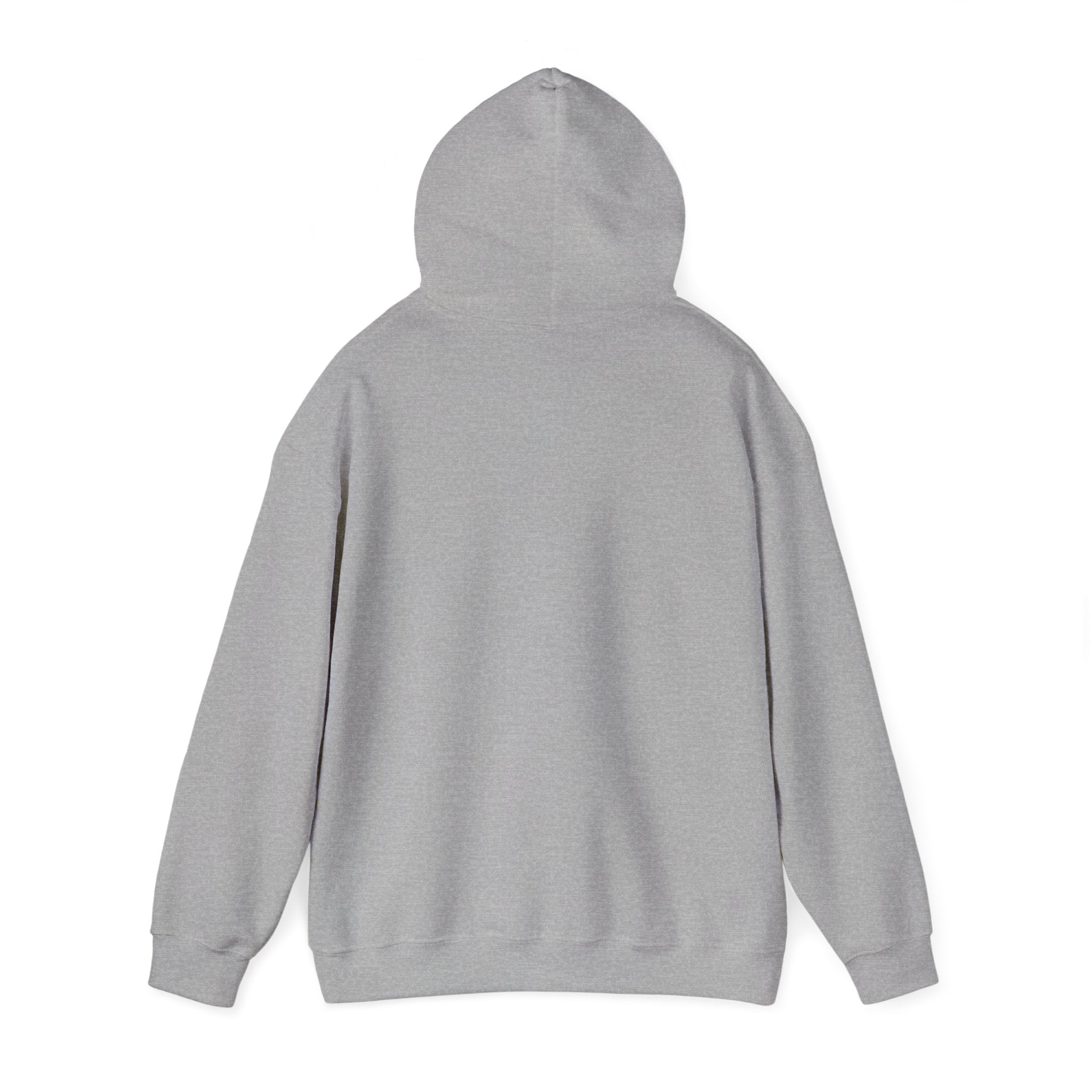 Havana Baila Graphic Hoodie — Retro Tropical Dance Party Sweatshirt