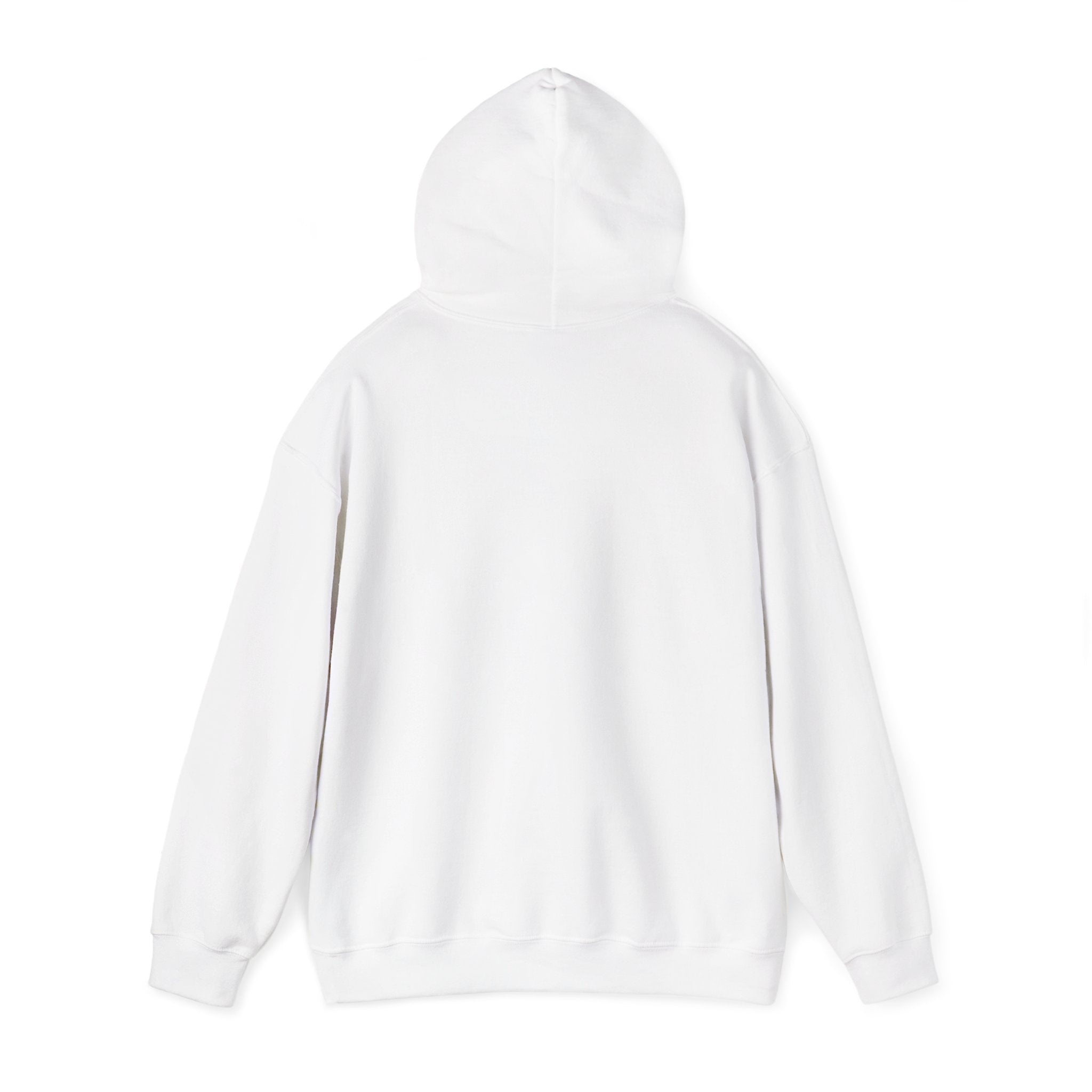 Havana Baila Graphic Hoodie — Retro Tropical Dance Party Sweatshirt