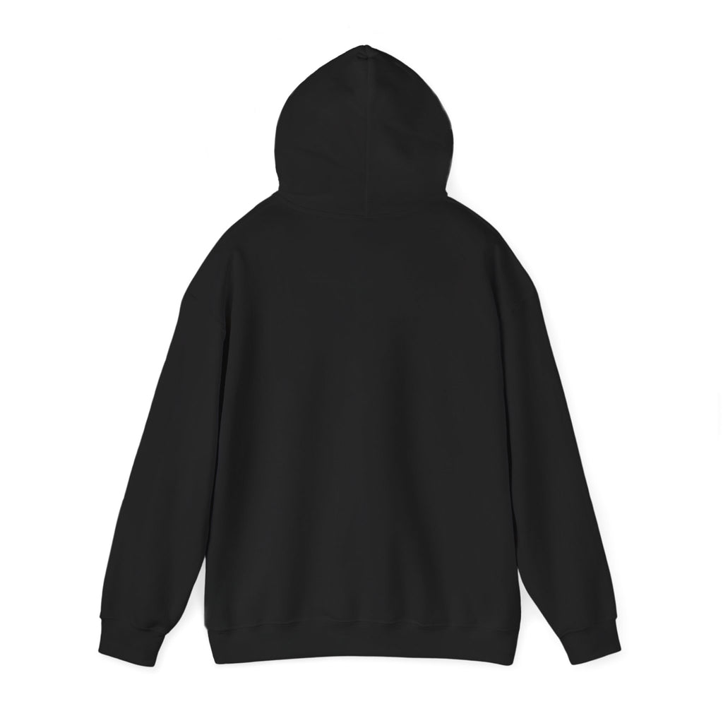Havana Baila Graphic Hoodie — Retro Tropical Dance Party Sweatshirt