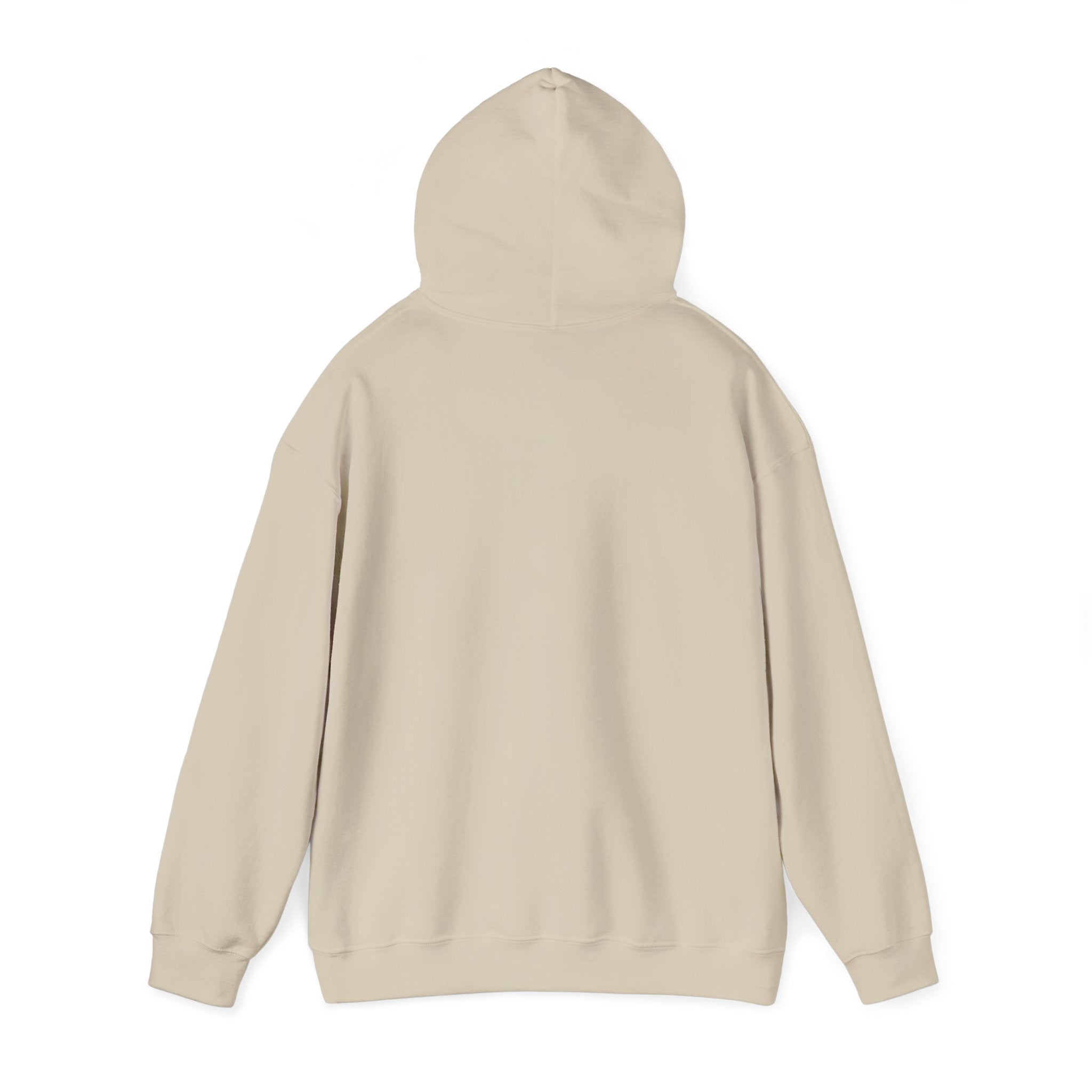Havana Baila Graphic Hoodie — Retro Tropical Dance Party Sweatshirt