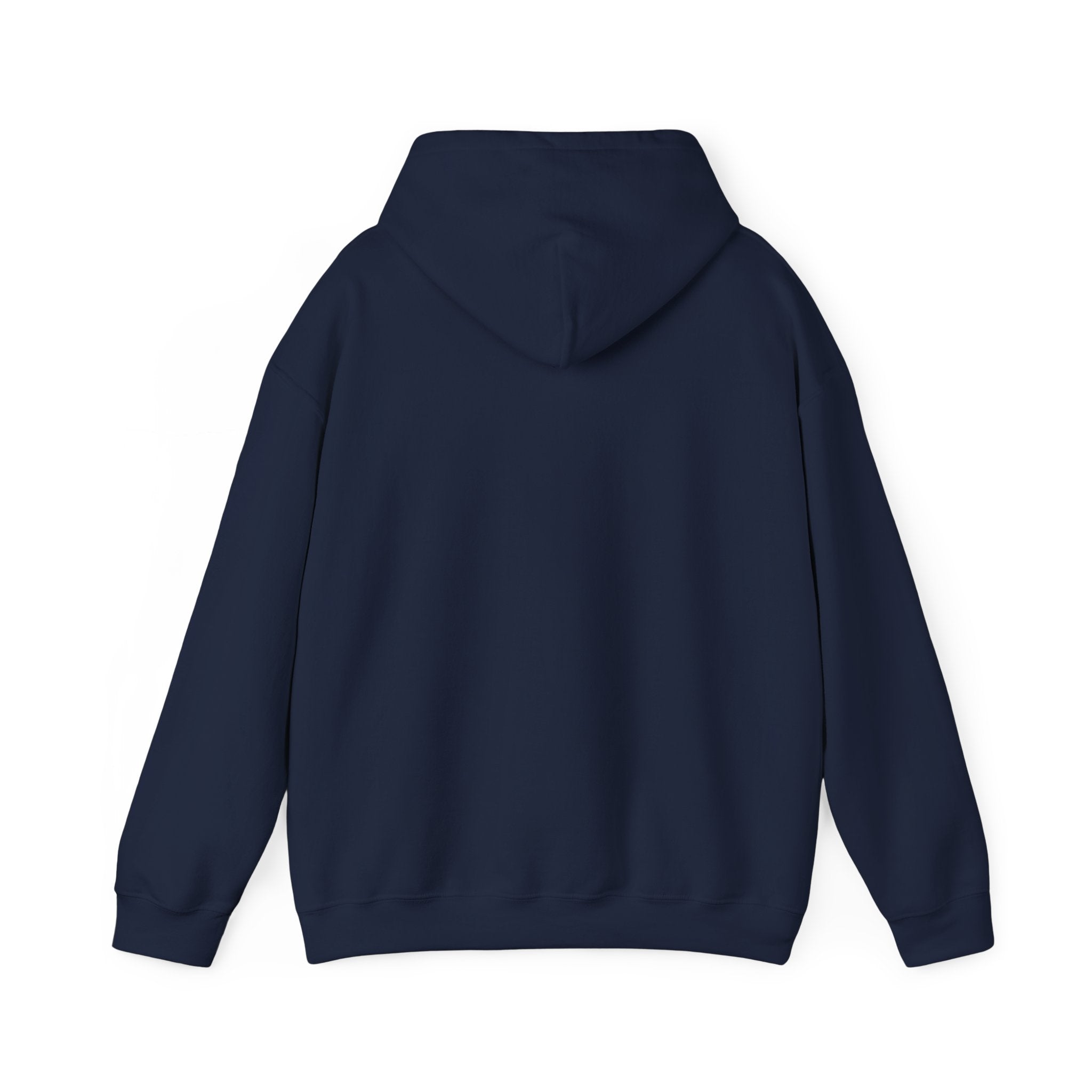 Havana Baila Graphic Hoodie — Retro Tropical Dance Party Sweatshirt